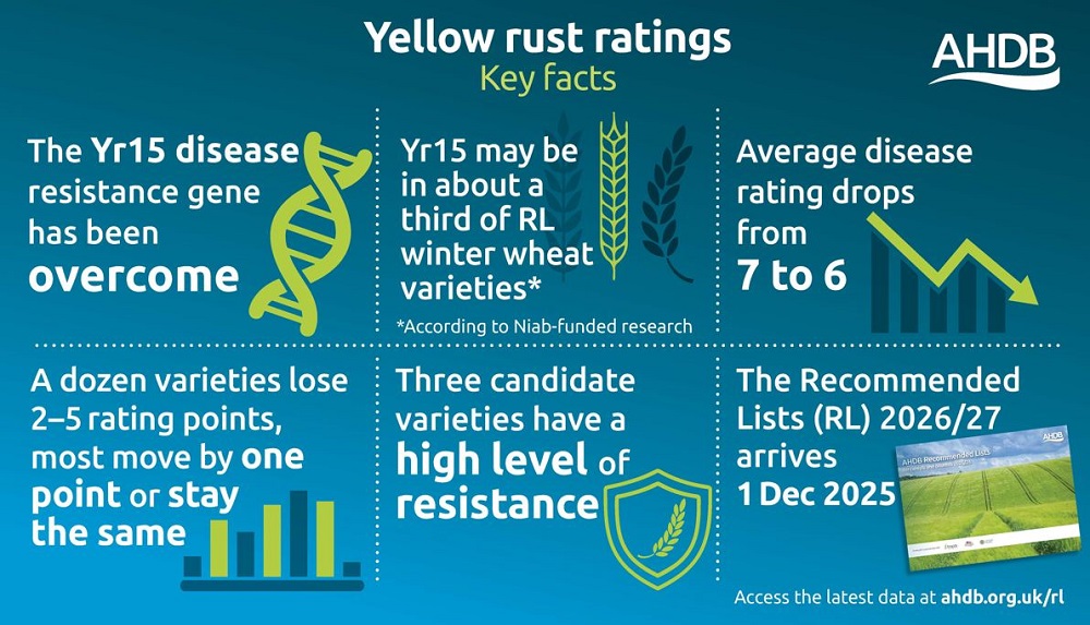 An infographic showing key changes to yellow rust ratings in 2025.